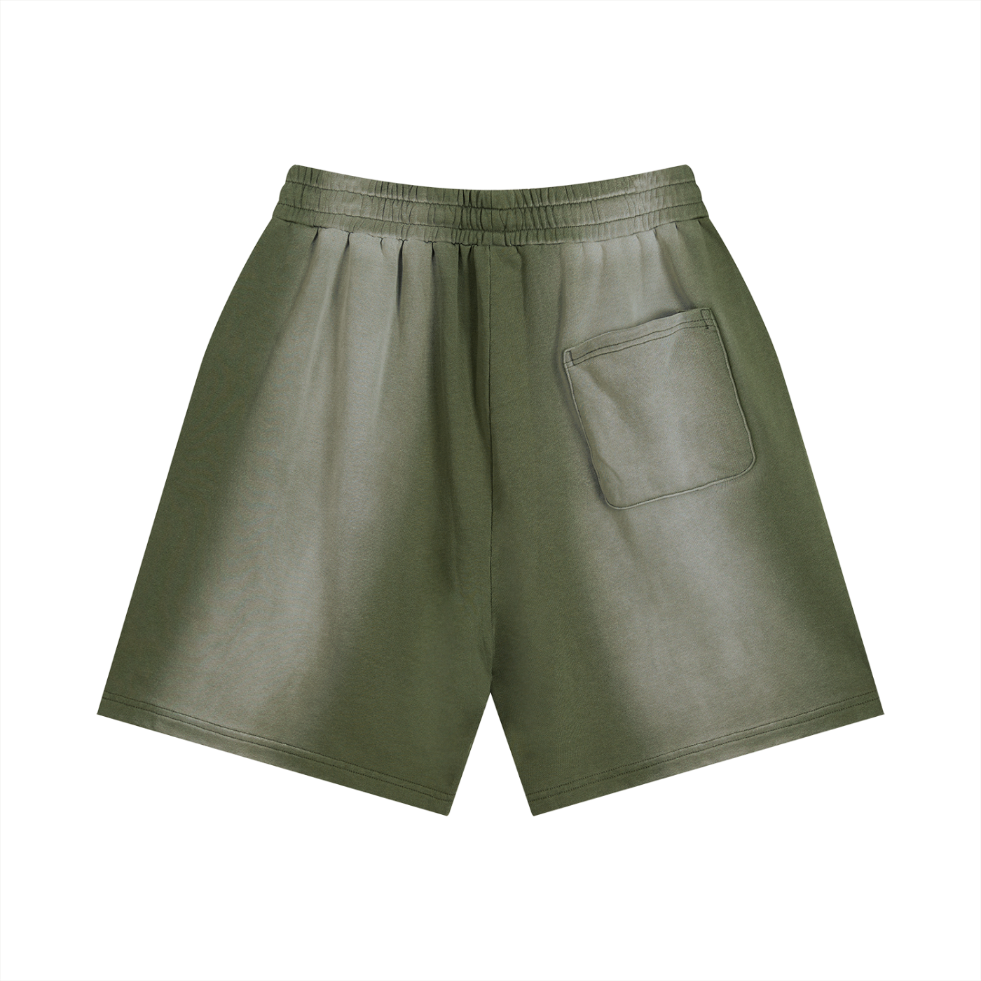 Ivyail Fade Distressed Shorts